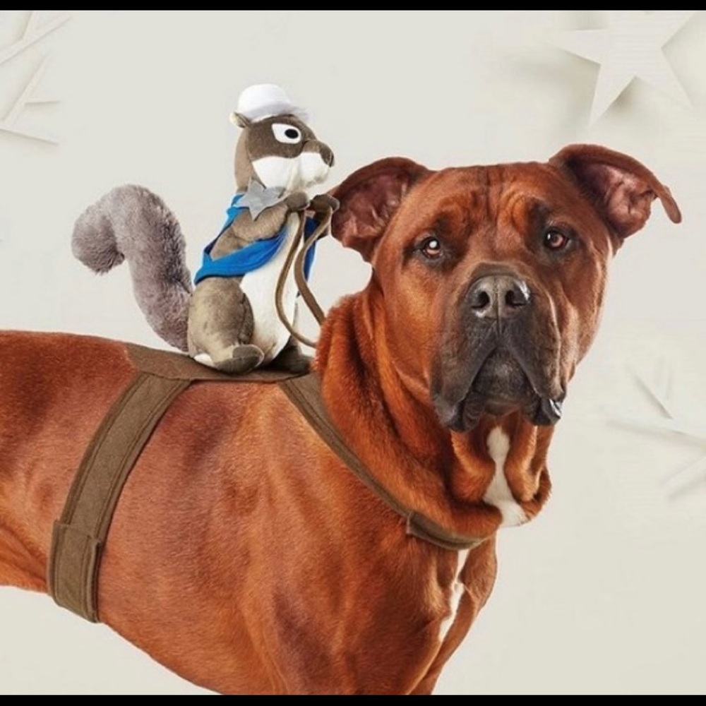 Sheriff squirrel rider dog costume medium/large. Fits a dog 40-75 lbs.